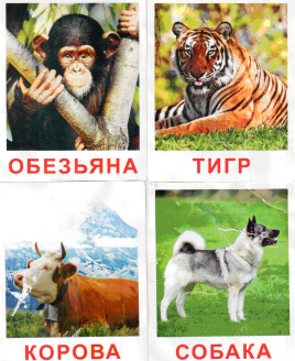 Занятия в старшей группе