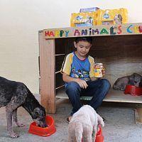 9-летний мальчик создал убежище для животных в своем гараже
